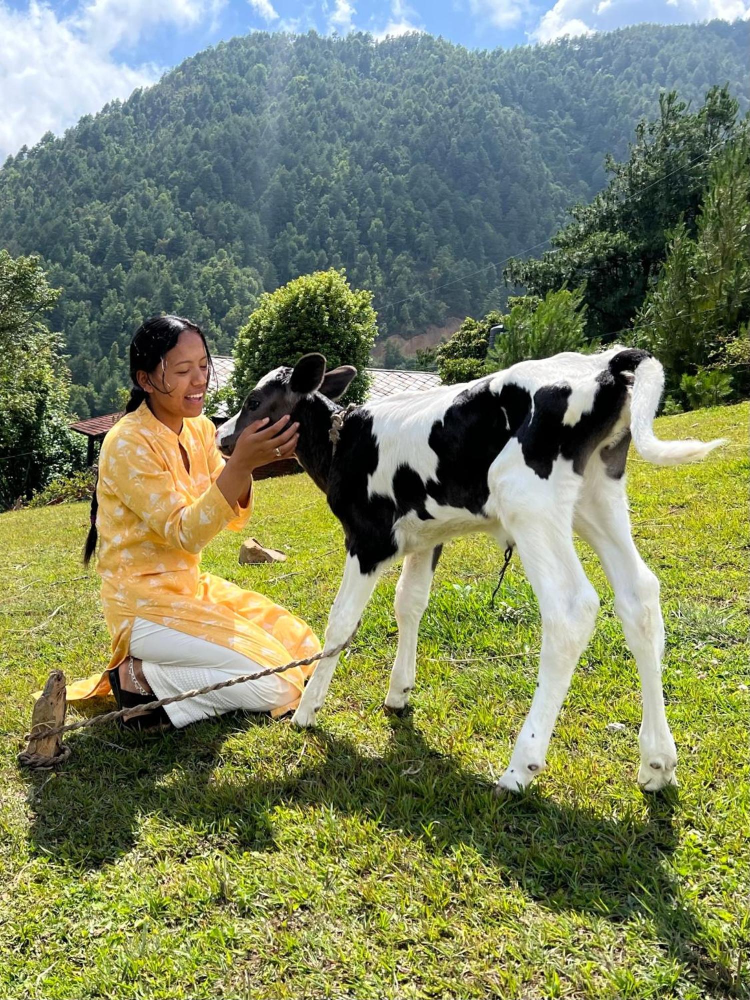 Joy Source Resort Kathmandu Bagian luar foto